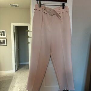 Ann Taylor Blush Pink Women's Trousers